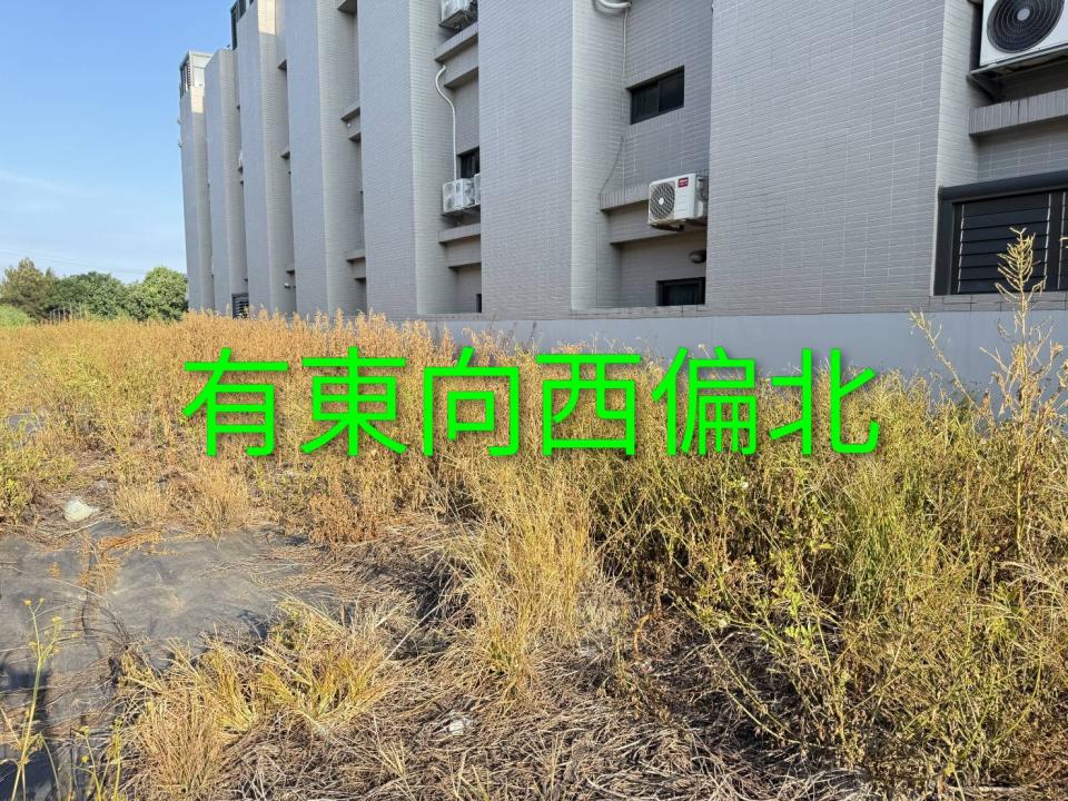 園藝維護案件圖片