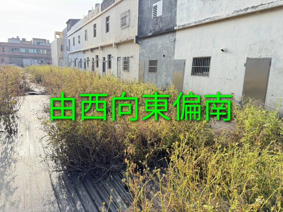 園藝維護案件圖片
