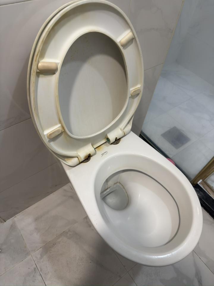 馬桶裝修案件圖片