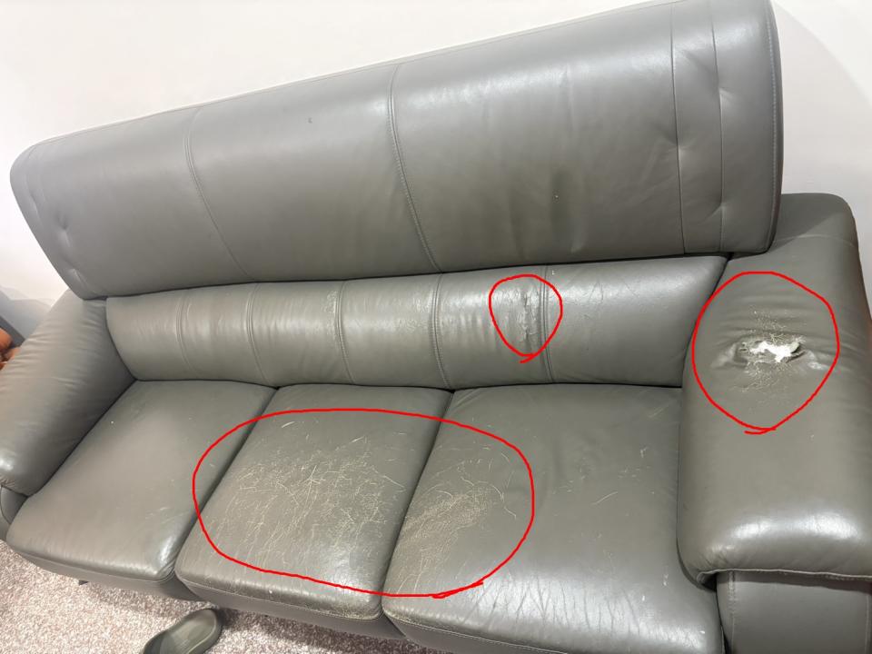 沙發修理案件圖片