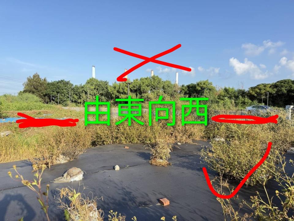 園藝維護案件圖片