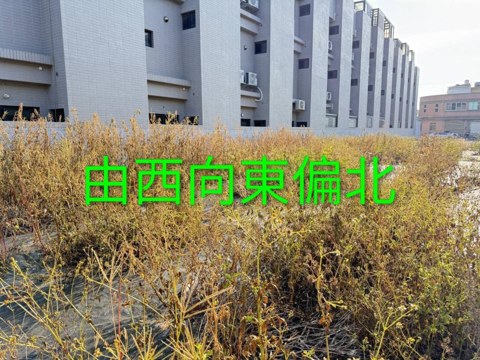 園藝維護案件圖片