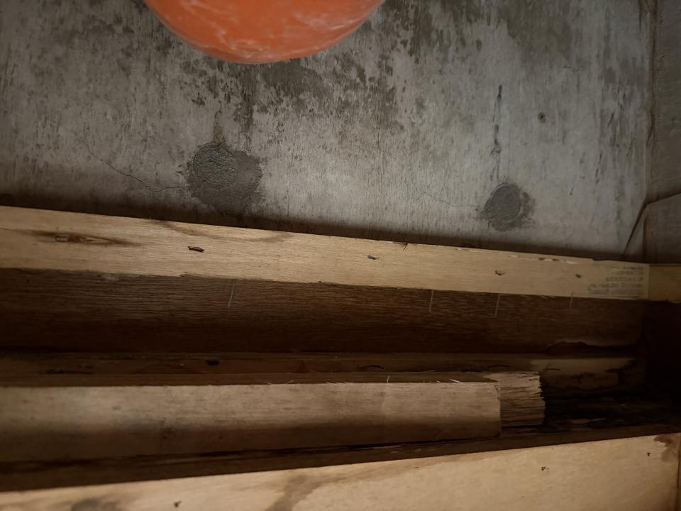 除霉案件圖片