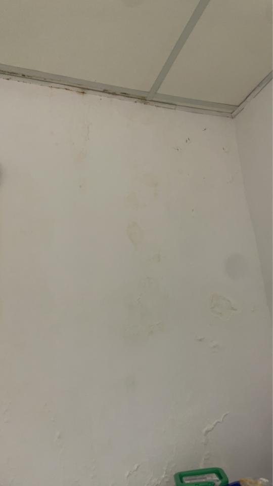 壁癌處理案件圖片