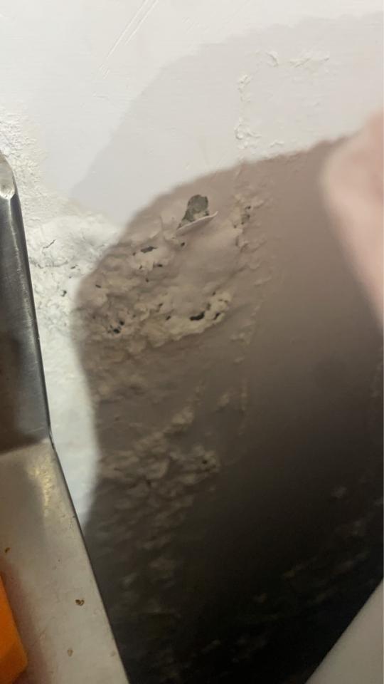壁癌處理案件圖片