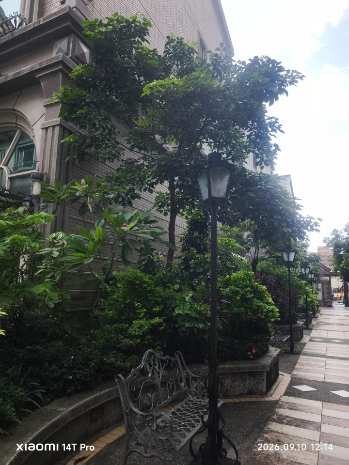 園藝維護案件圖片