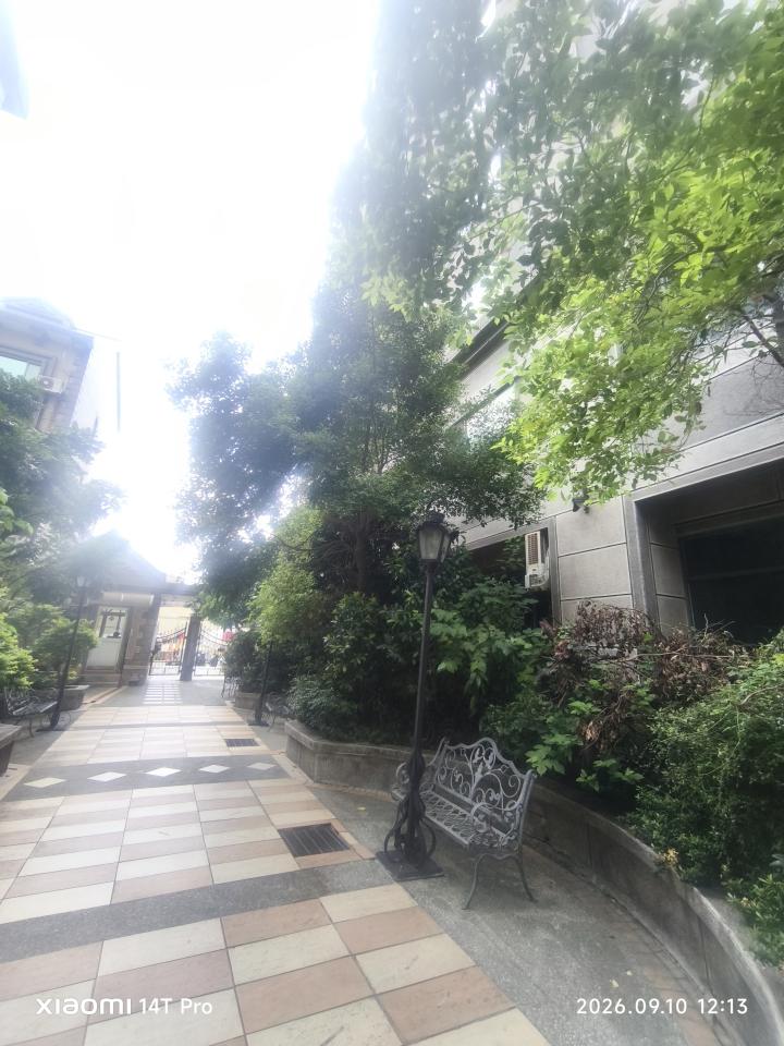 園藝維護案件圖片