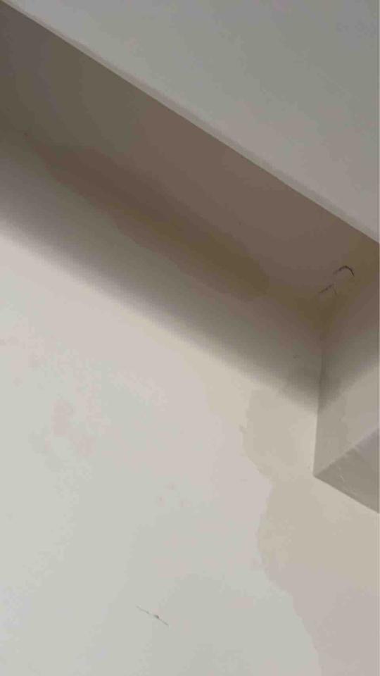 抓漏案件圖片