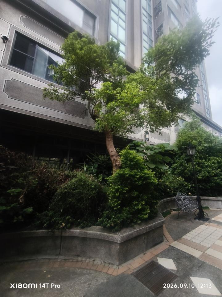 園藝維護案件圖片