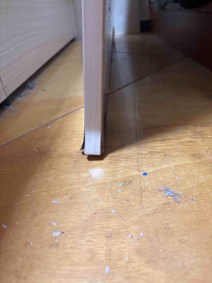 木門案件圖片