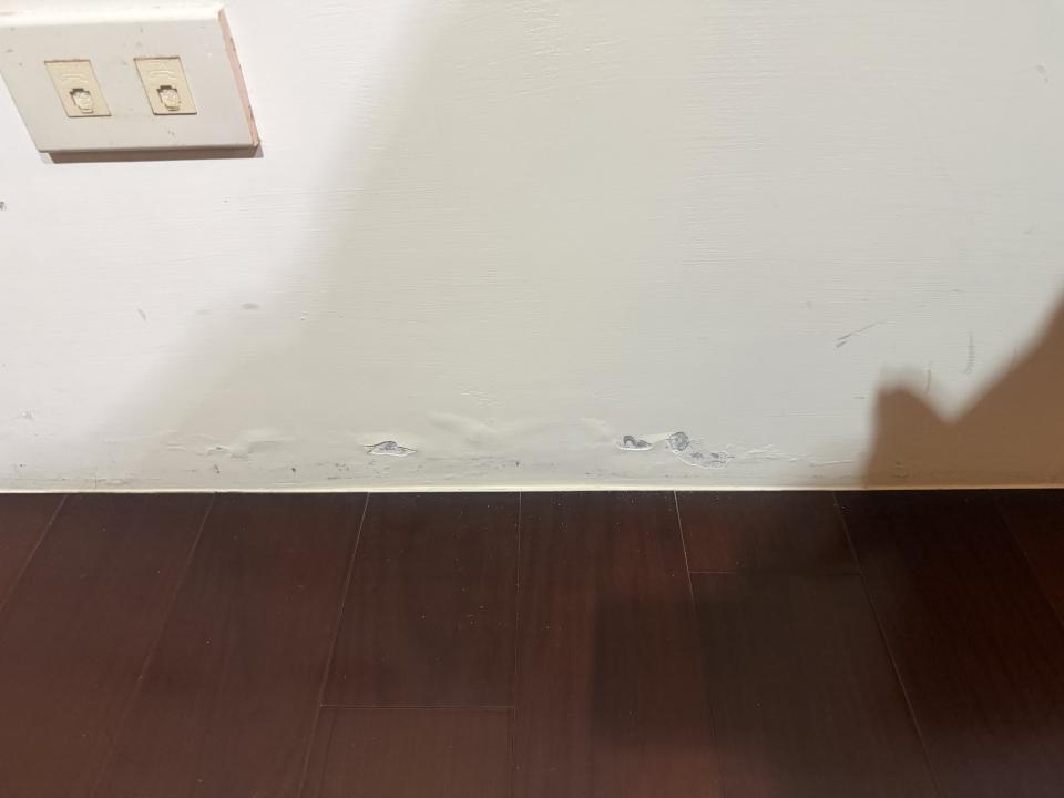 壁癌處理案件圖片