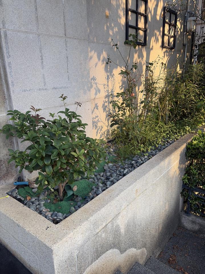 園藝維護案件圖片