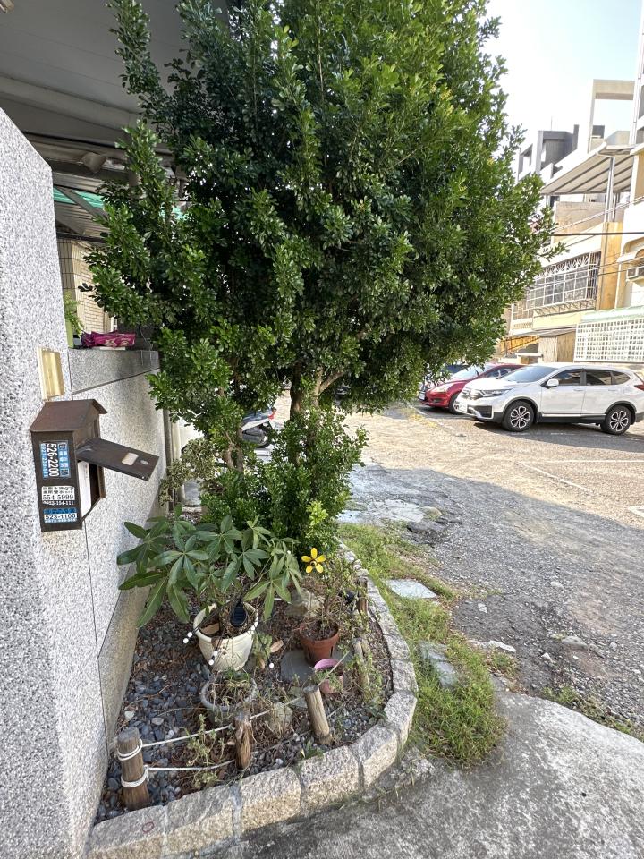 園藝維護案件圖片
