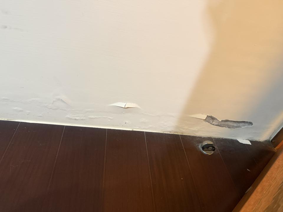 壁癌處理案件圖片