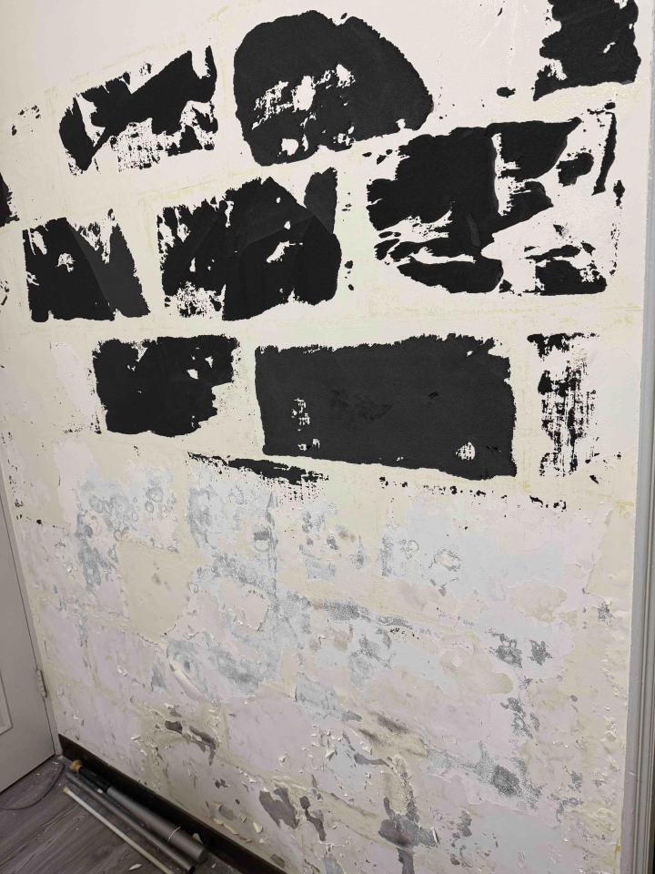 泥作/水泥施工案件圖片