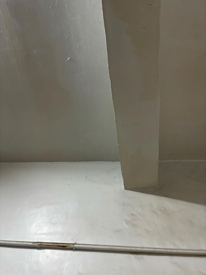 抓漏案件圖片
