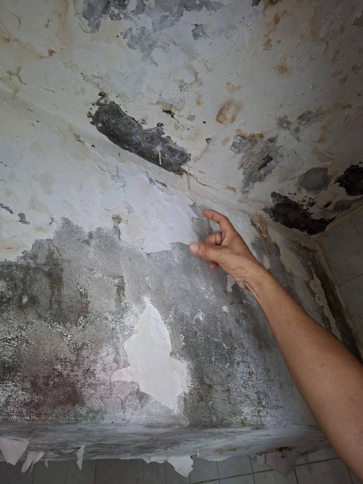抓漏案件圖片