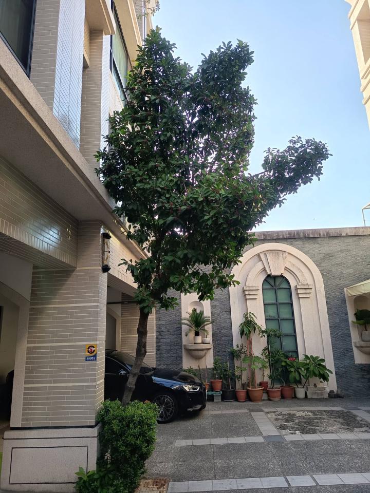 園藝維護案件圖片
