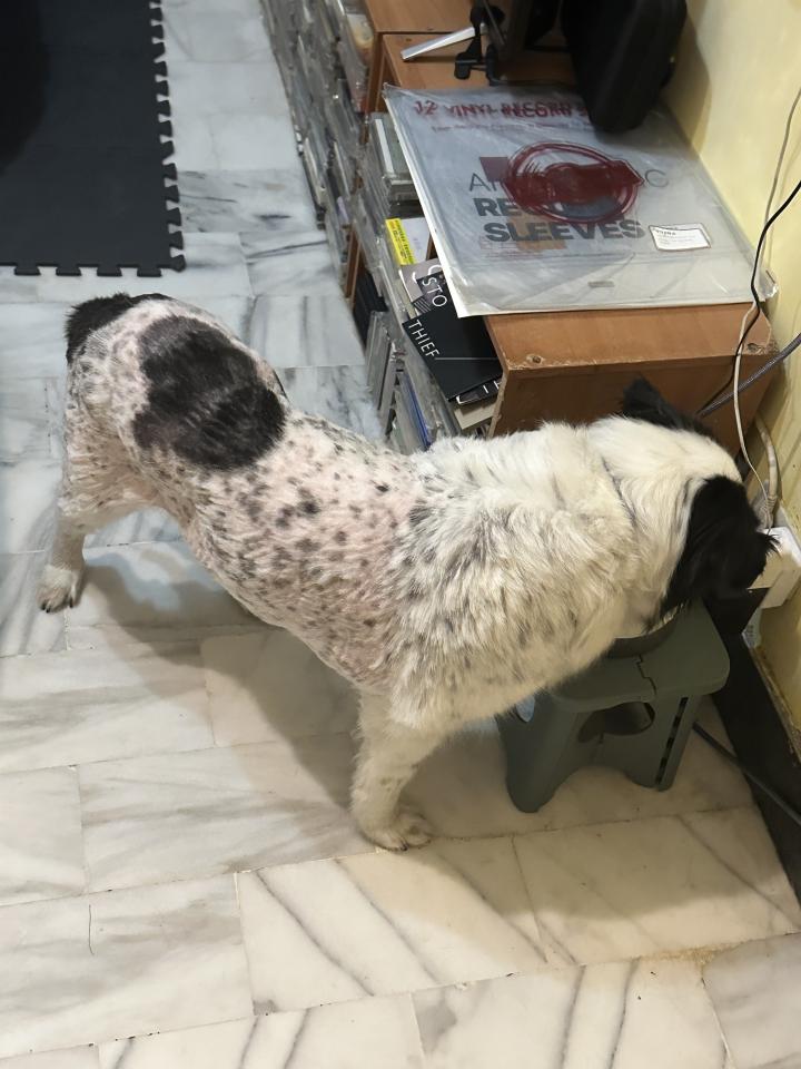3D列印案件圖片