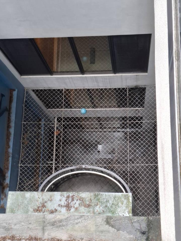 防墜網安裝案件圖片
