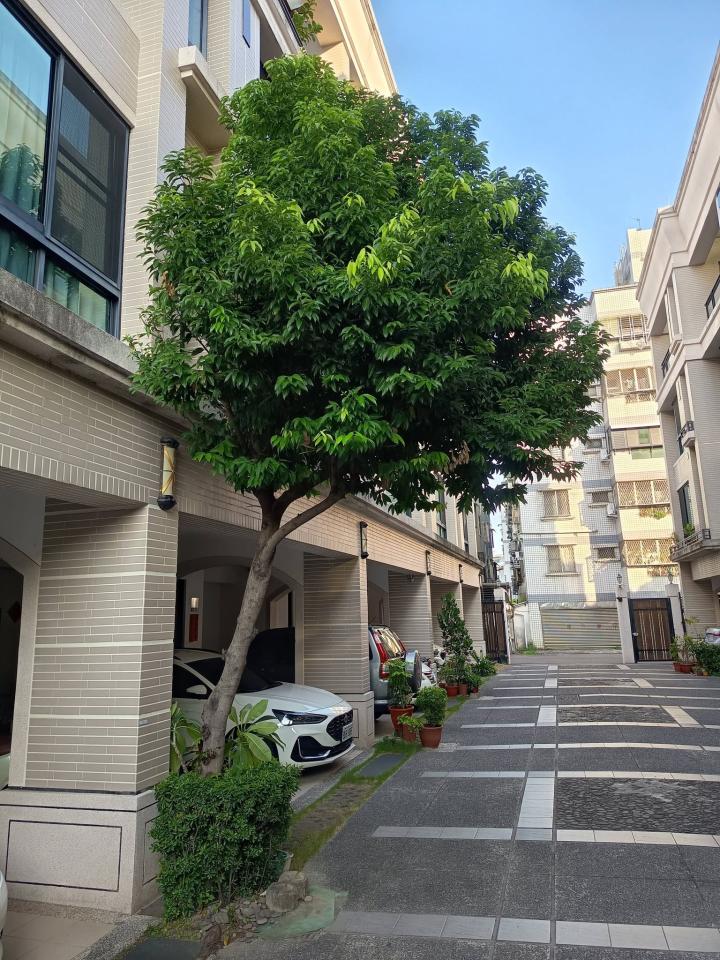 園藝維護案件圖片