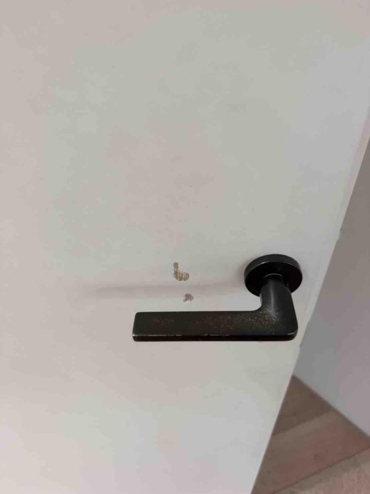 油漆工程案件圖片