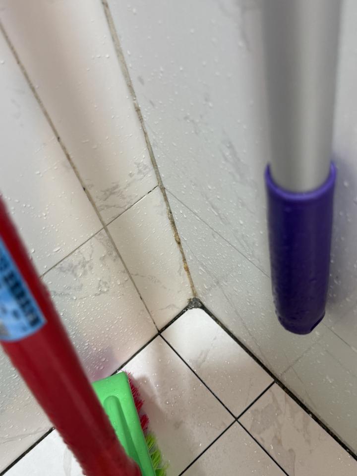 矽利康工程案件圖片