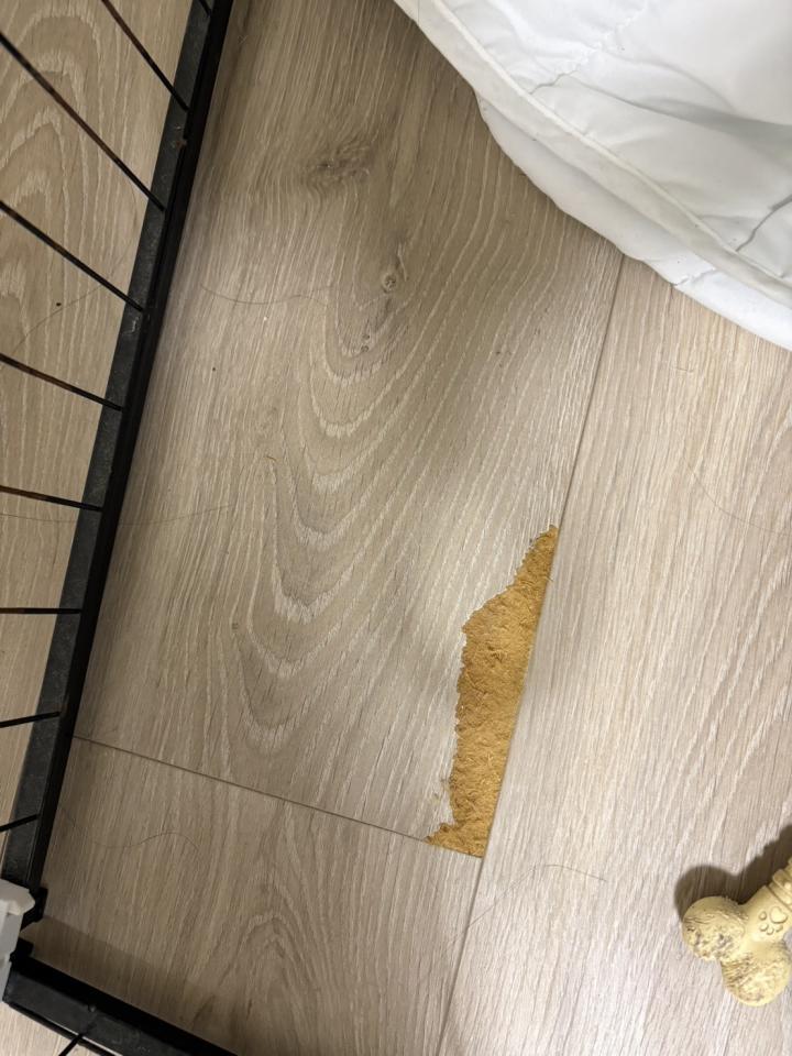 超耐磨木地板案件圖片