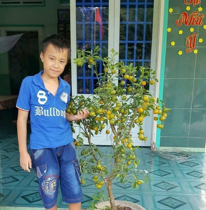 LINE貼圖製作案件圖片
