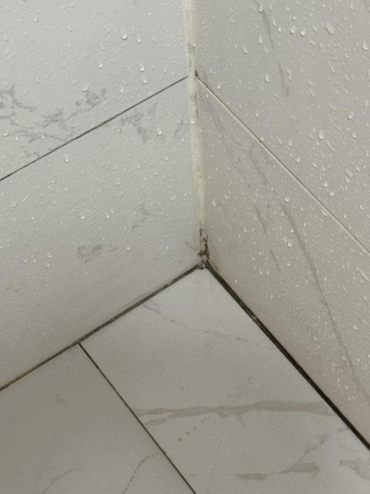 矽利康工程案件圖片