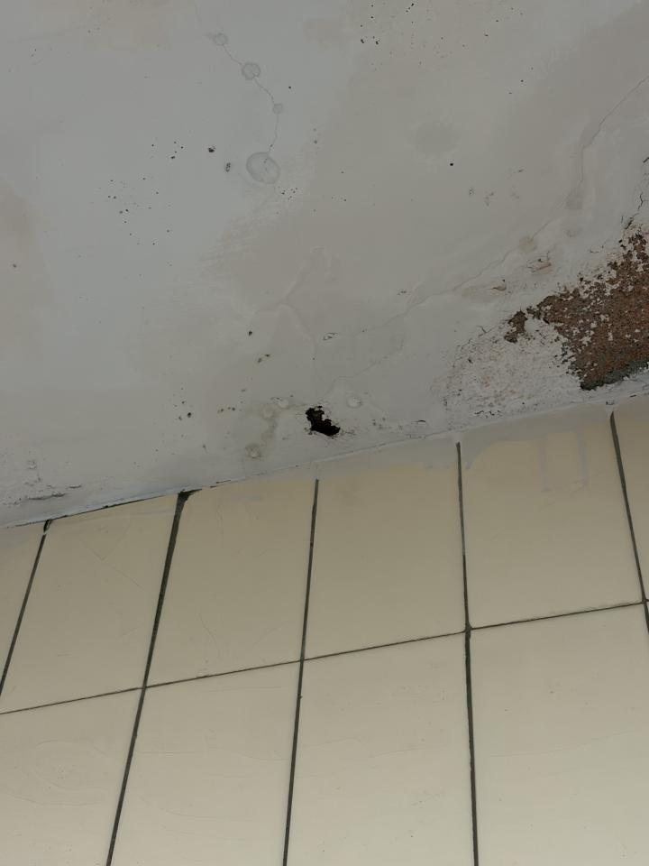 漏水處理案件圖片
