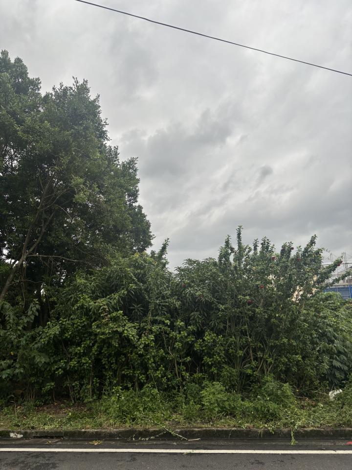 園藝維護案件圖片