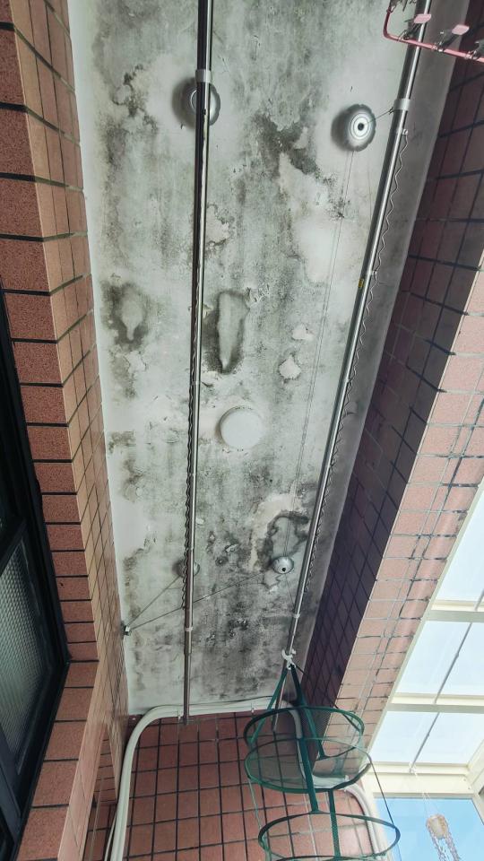 油漆工程案件圖片