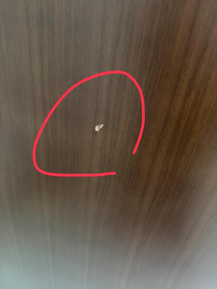 木門案件圖片
