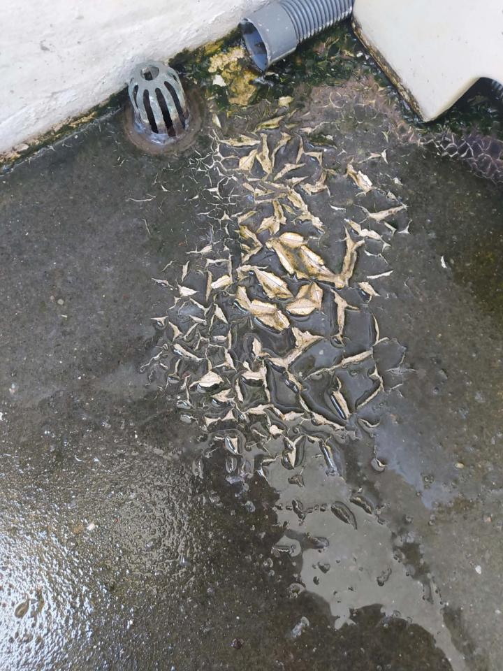 抓漏案件圖片