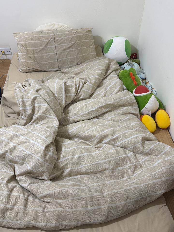 搬家案件圖片