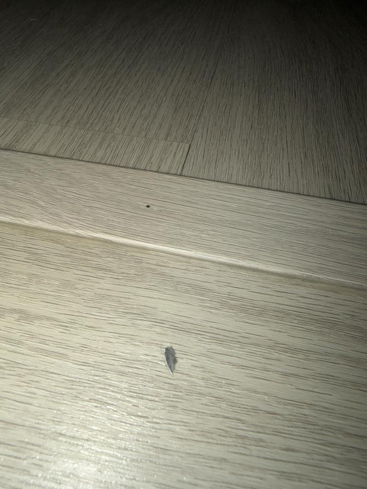 地板維修案件圖片