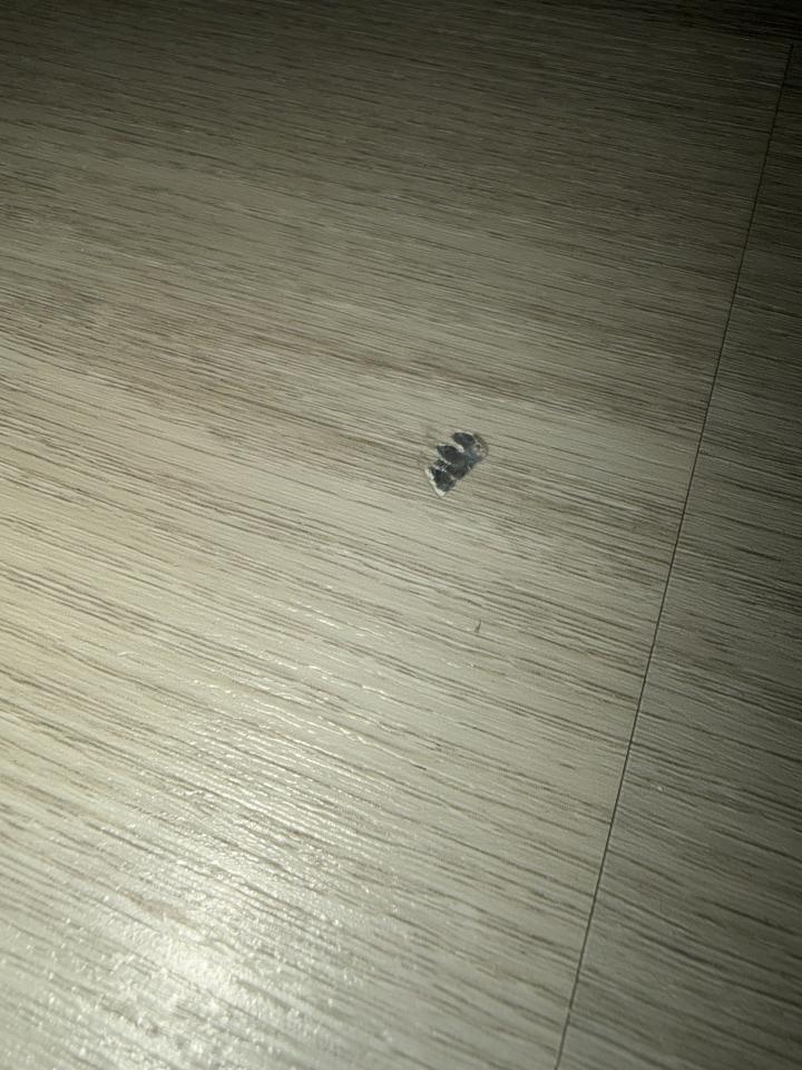 地板維修案件圖片