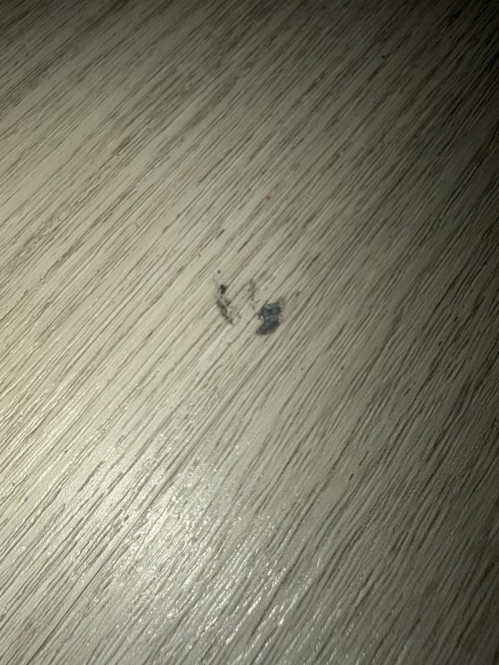 地板維修案件圖片
