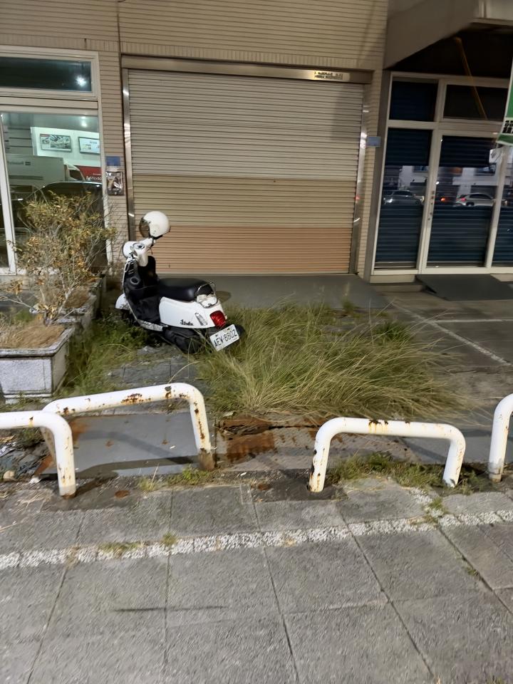 園藝維護案件圖片