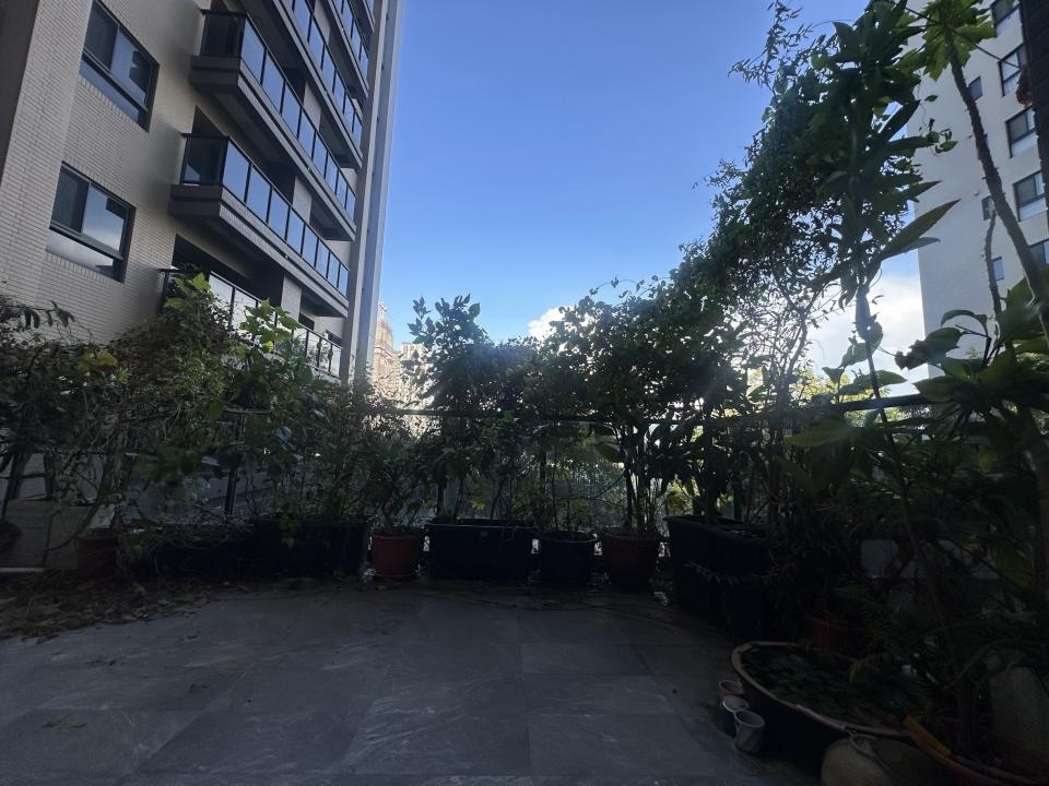 園藝維護案件圖片