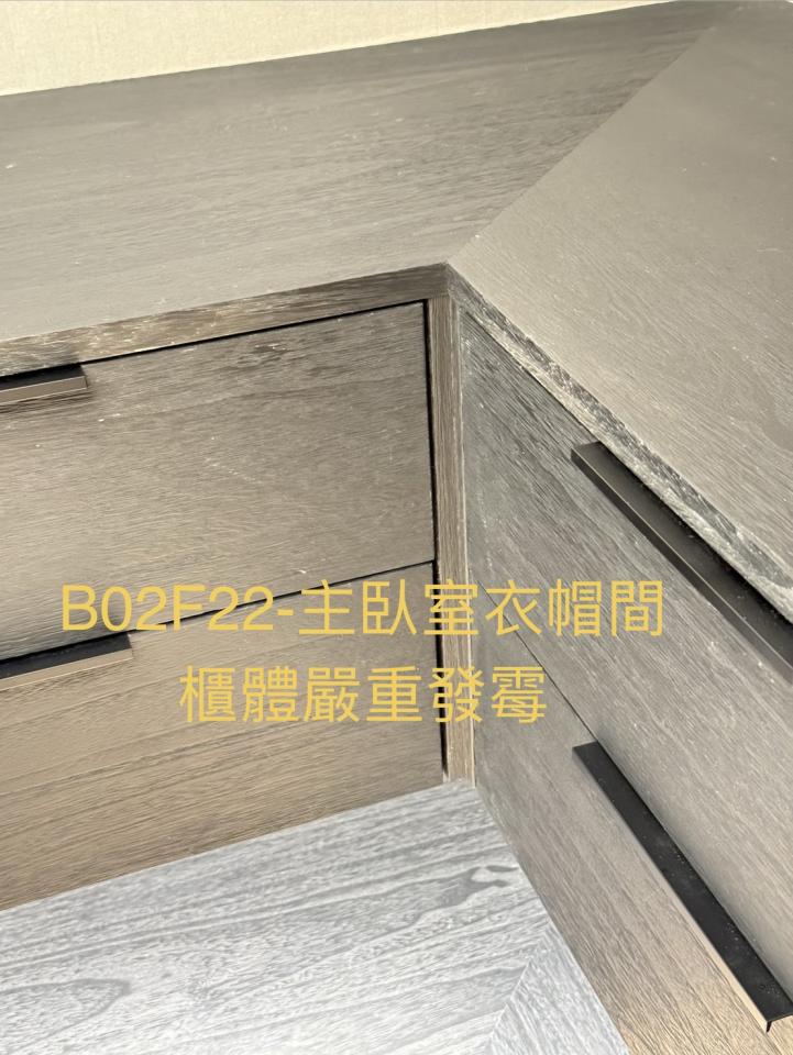 除霉案件圖片