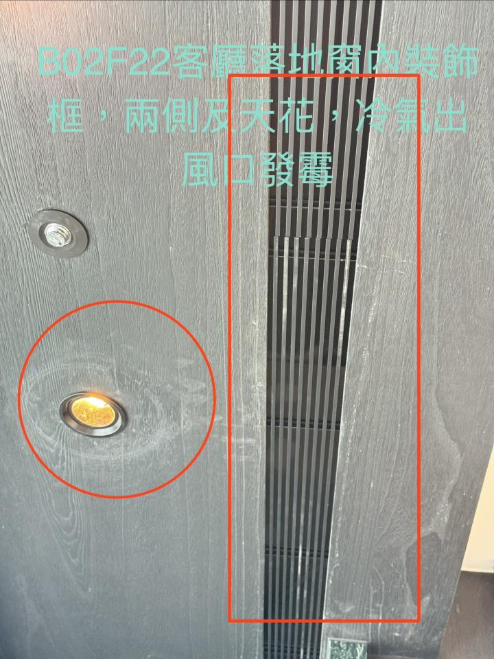除霉案件圖片