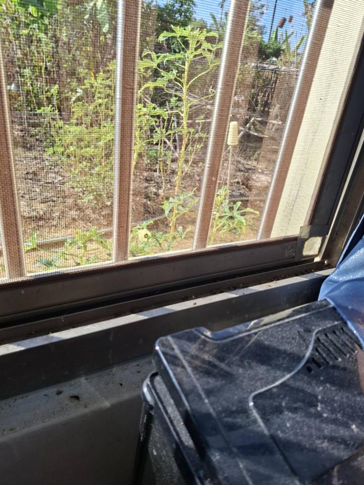 鋁門窗案件圖片