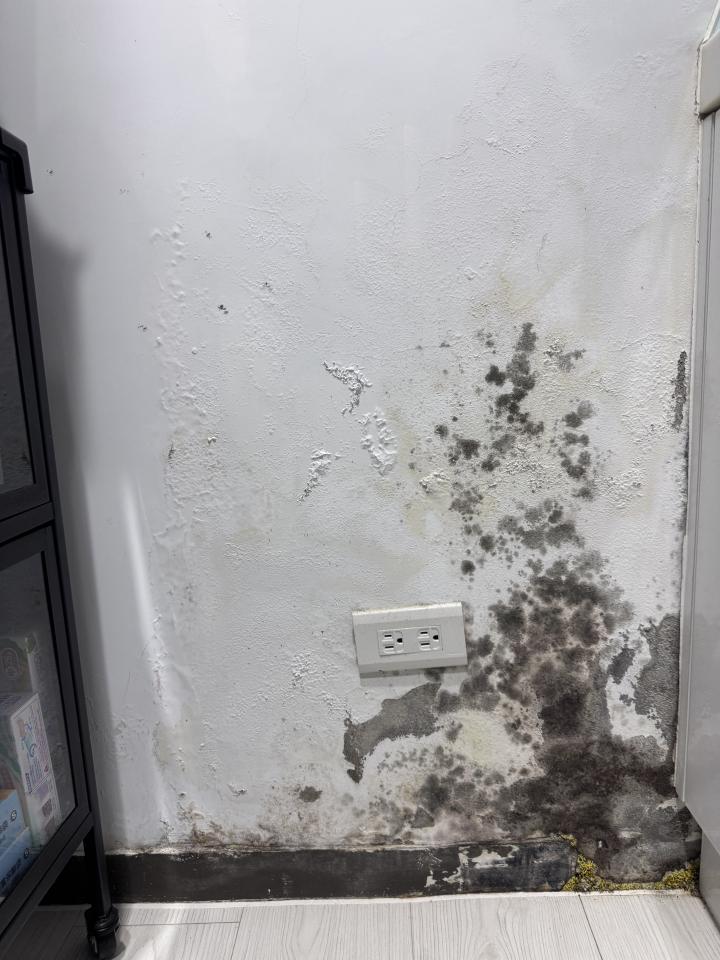 漏水處理案件圖片