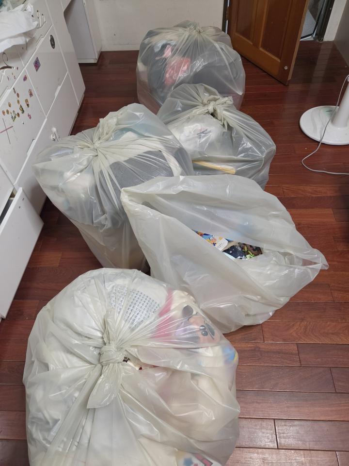 大型垃圾回收案件圖片