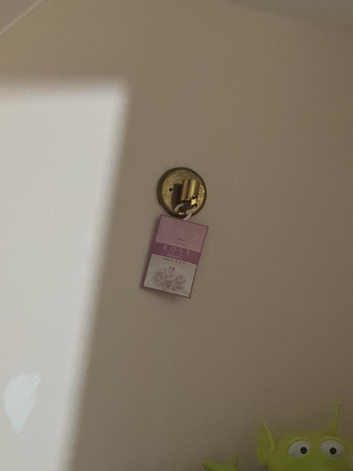 燈具安裝案件圖片
