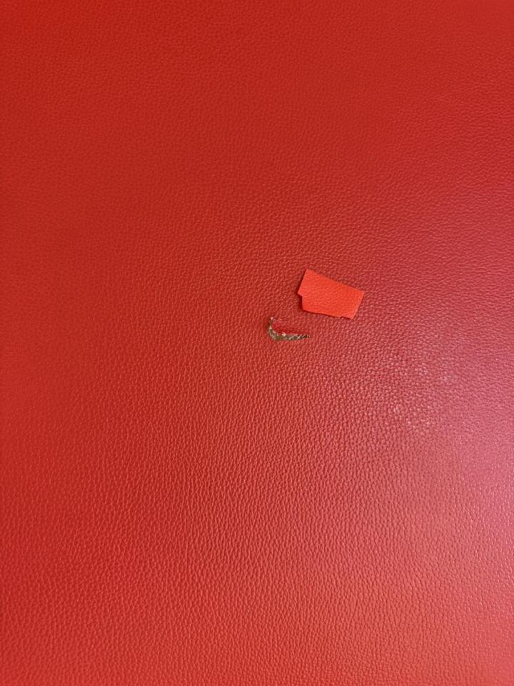 沙發修理案件圖片