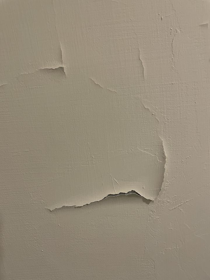 泥作/水泥施工案件圖片