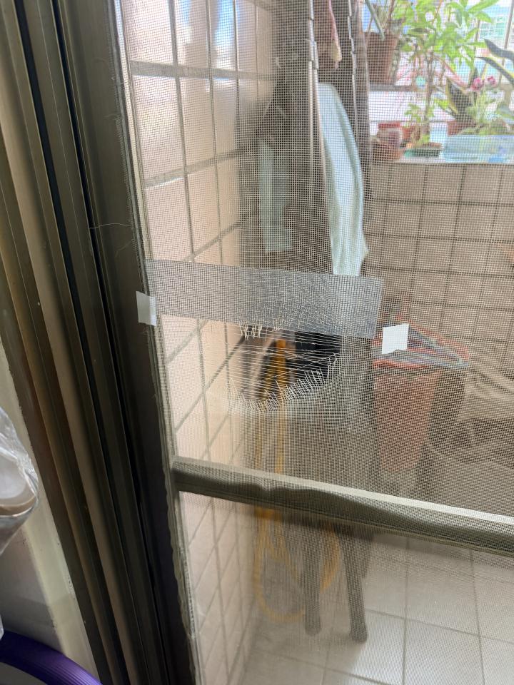 陽台紗網安裝案件圖片